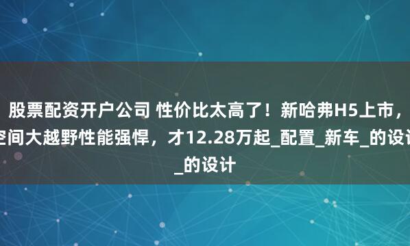 股票配资开户公司 性价比太高了！新哈弗H5上市，空间大越野性能强悍，才12.28万起_配置_新车_的设计