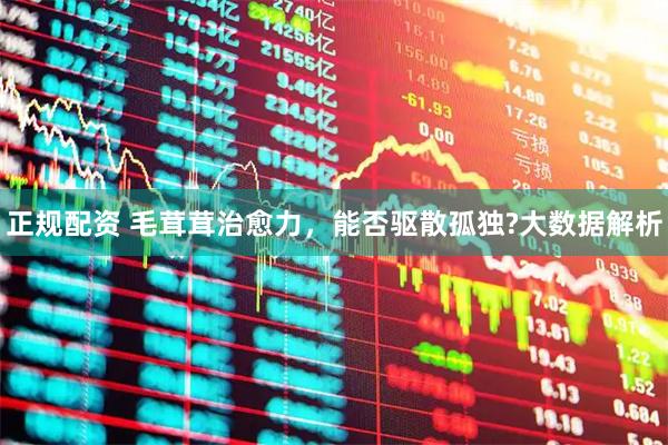 正规配资 毛茸茸治愈力，能否驱散孤独?大数据解析